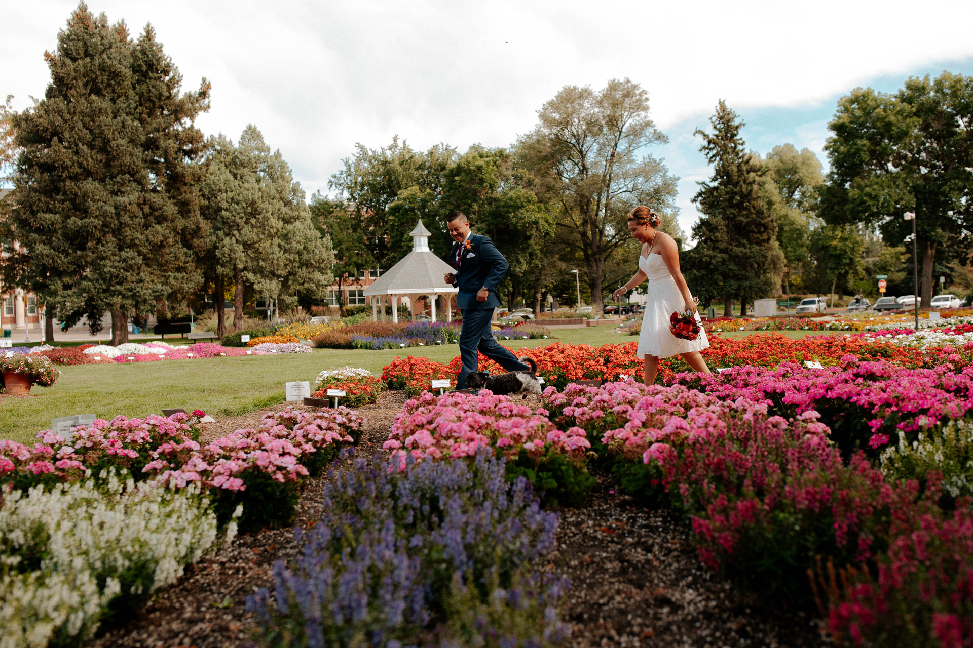 fort collins courthouse wedding photography