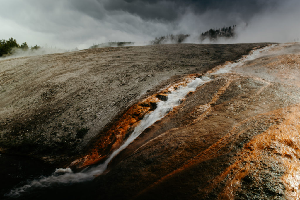 Yellowstone National Park, Wyoming Engagement Adventure Session Couple Wild